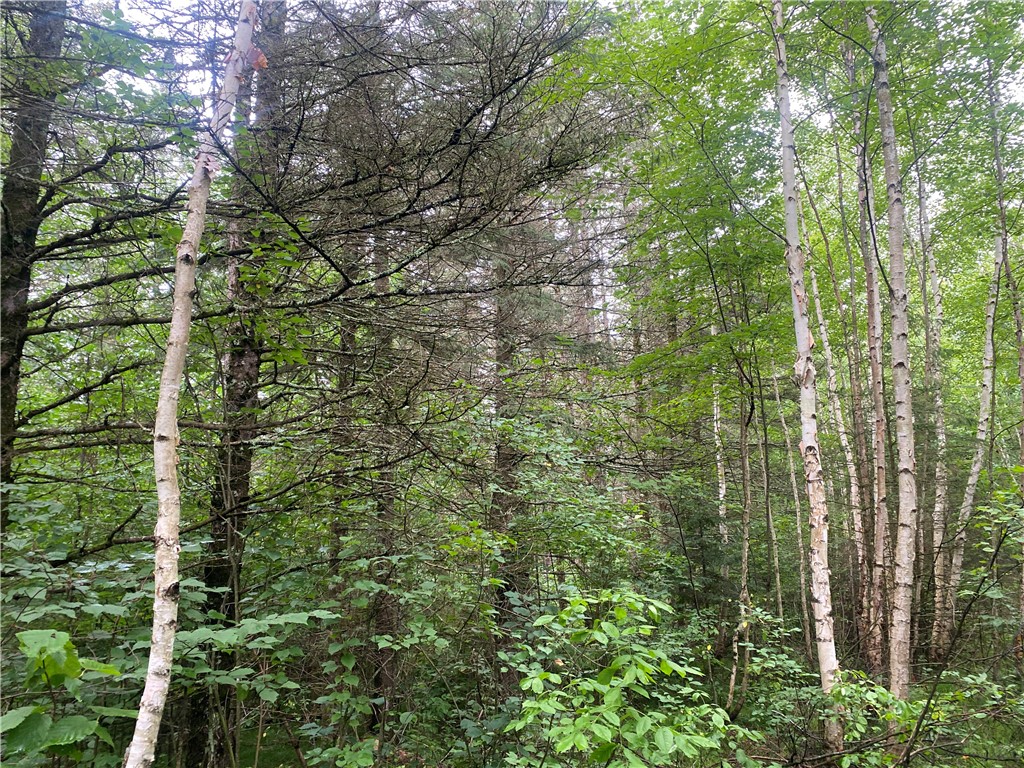 On Knowles Road Loretta WI 54896 1584858 image5