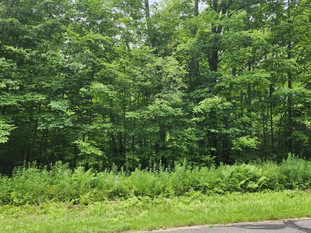 On Lake Winter Road Winter WI 54896 1590895 image1