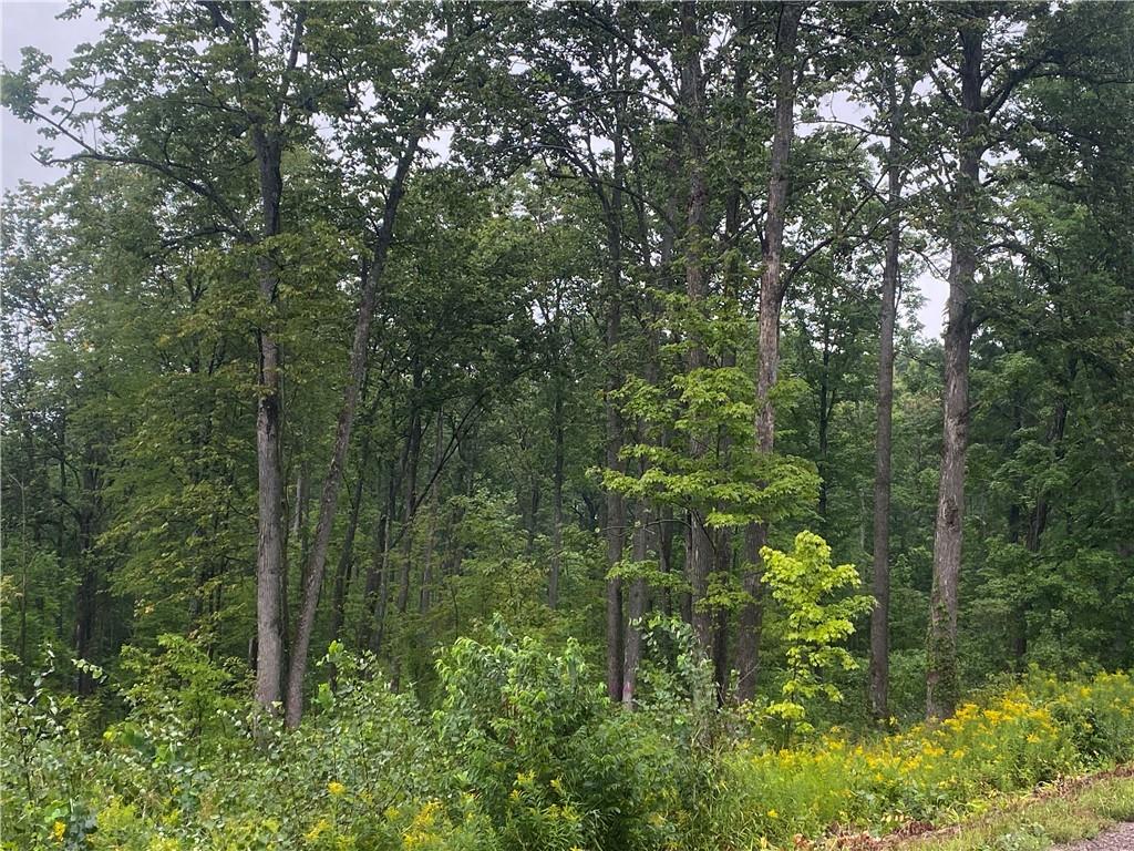 On Liberty Lane Kennan WI 54537 1584886 image1