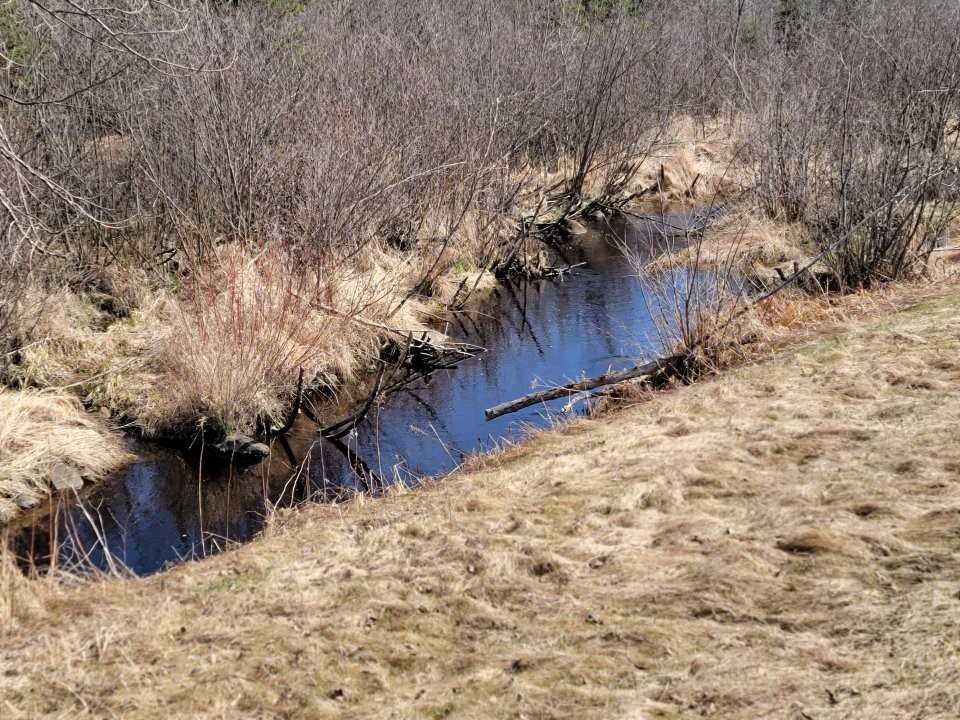 On Luds Lane Loretta WI 54896 - Fly Blow Creek 1589387 image1