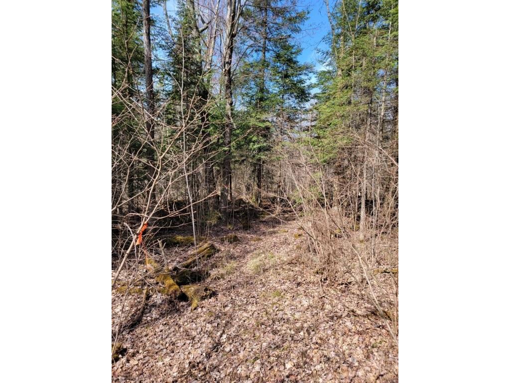 On Luds Lane Loretta WI 54896 - Fly Blow Creek 1589387 image10