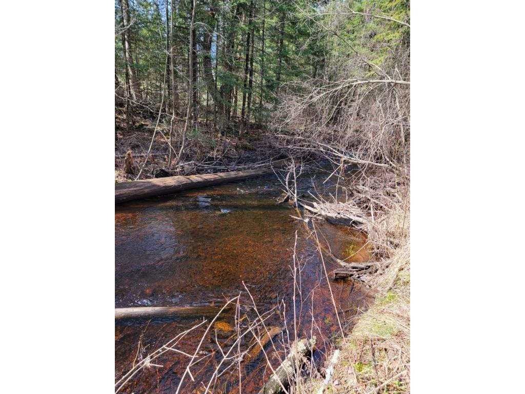 On Luds Lane Loretta WI 54896 - Fly Blow Creek 1589387 image11
