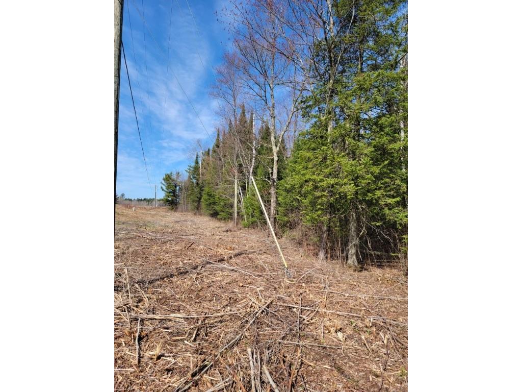 On Luds Lane Loretta WI 54896 - Fly Blow Creek 1589387 image12