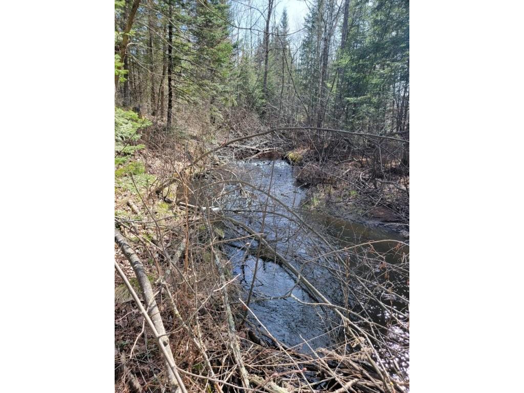 On Luds Lane Loretta WI 54896 - Fly Blow Creek 1589387 image13