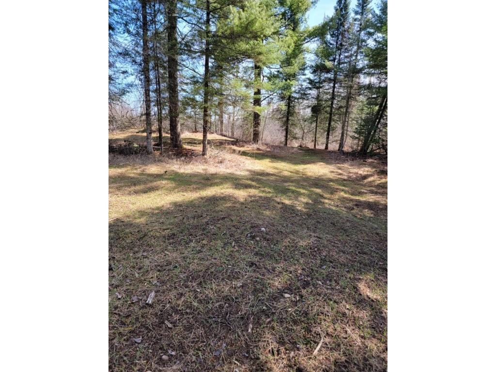 On Luds Lane Loretta WI 54896 - Fly Blow Creek 1589387 image14