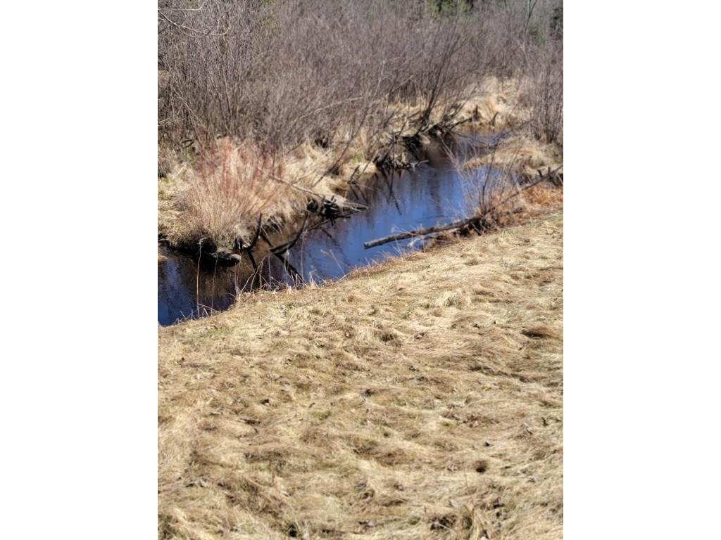 On Luds Lane Loretta WI 54896 - Fly Blow Creek 1589387 image15