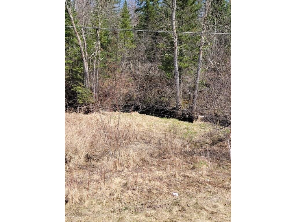 On Luds Lane Loretta WI 54896 - Fly Blow Creek 1589387 image16