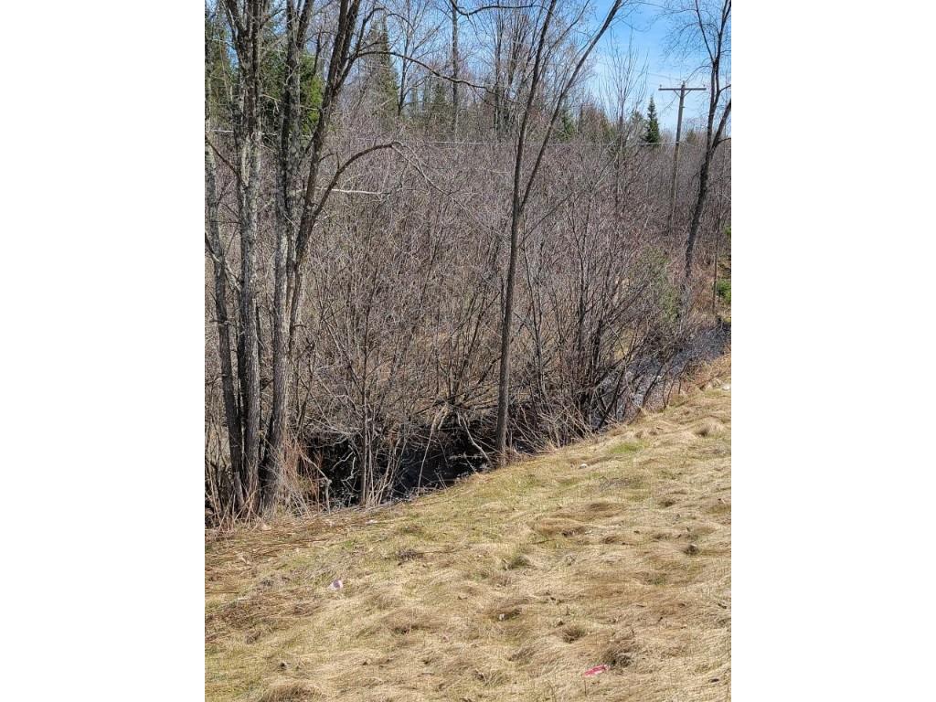 On Luds Lane Loretta WI 54896 - Fly Blow Creek 1589387 image17