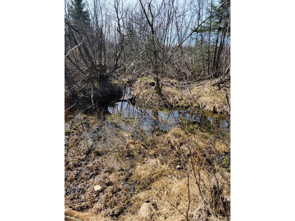 On Luds Lane Loretta WI 54896 - Fly Blow Creek 1589387 image18