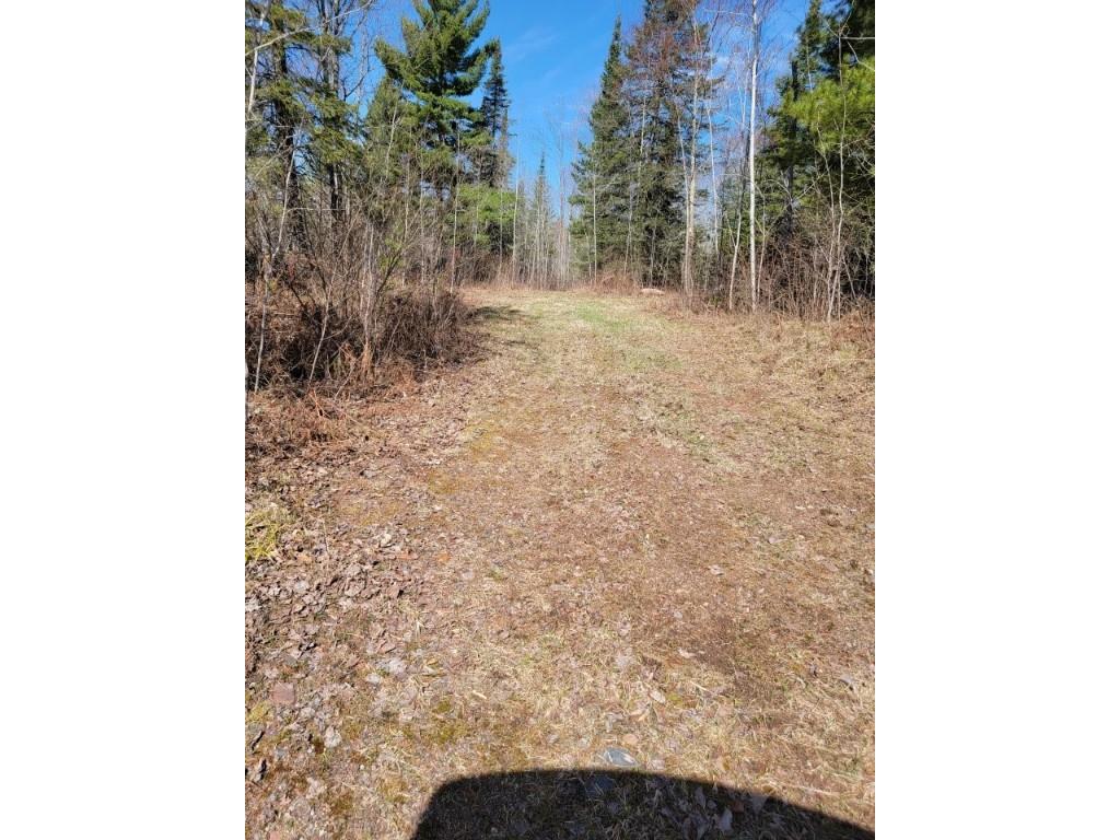 On Luds Lane Loretta WI 54896 - Fly Blow Creek 1589387 image2