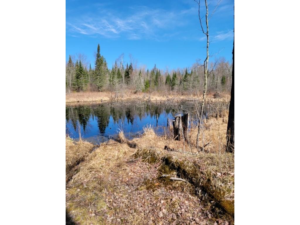 On Luds Lane Loretta WI 54896 - Fly Blow Creek 1589387 image20