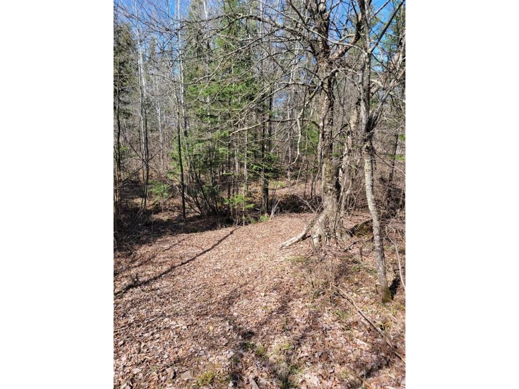 On Luds Lane Loretta WI 54896 - Fly Blow Creek 1589387 image21