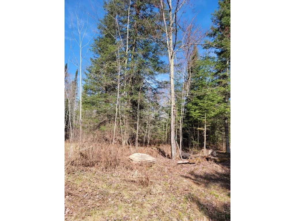 On Luds Lane Loretta WI 54896 - Fly Blow Creek 1589387 image3