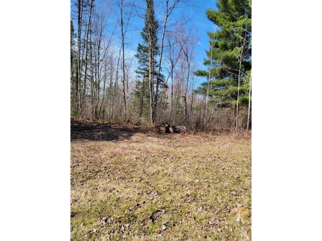 On Luds Lane Loretta WI 54896 - Fly Blow Creek 1589387 image4