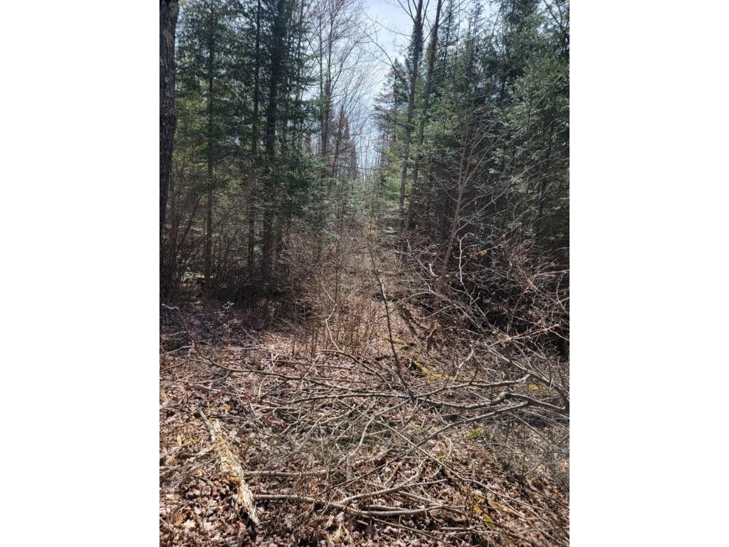 On Luds Lane Loretta WI 54896 - Fly Blow Creek 1589387 image5