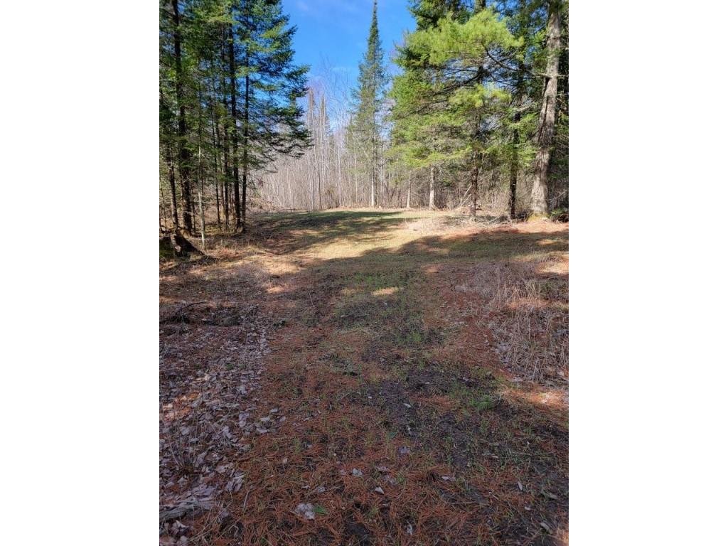 On Luds Lane Loretta WI 54896 - Fly Blow Creek 1589387 image6