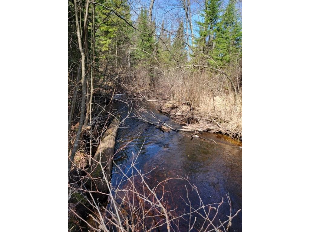 On Luds Lane Loretta WI 54896 - Fly Blow Creek 1589387 image7