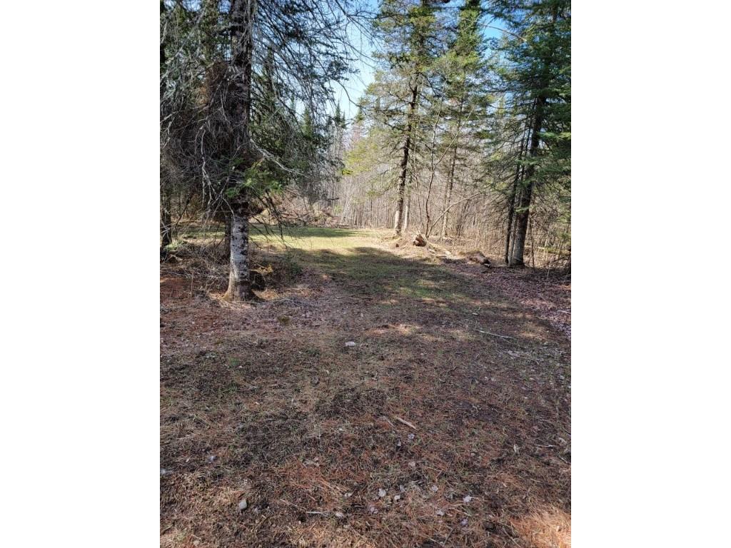 On Luds Lane Loretta WI 54896 - Fly Blow Creek 1589387 image8