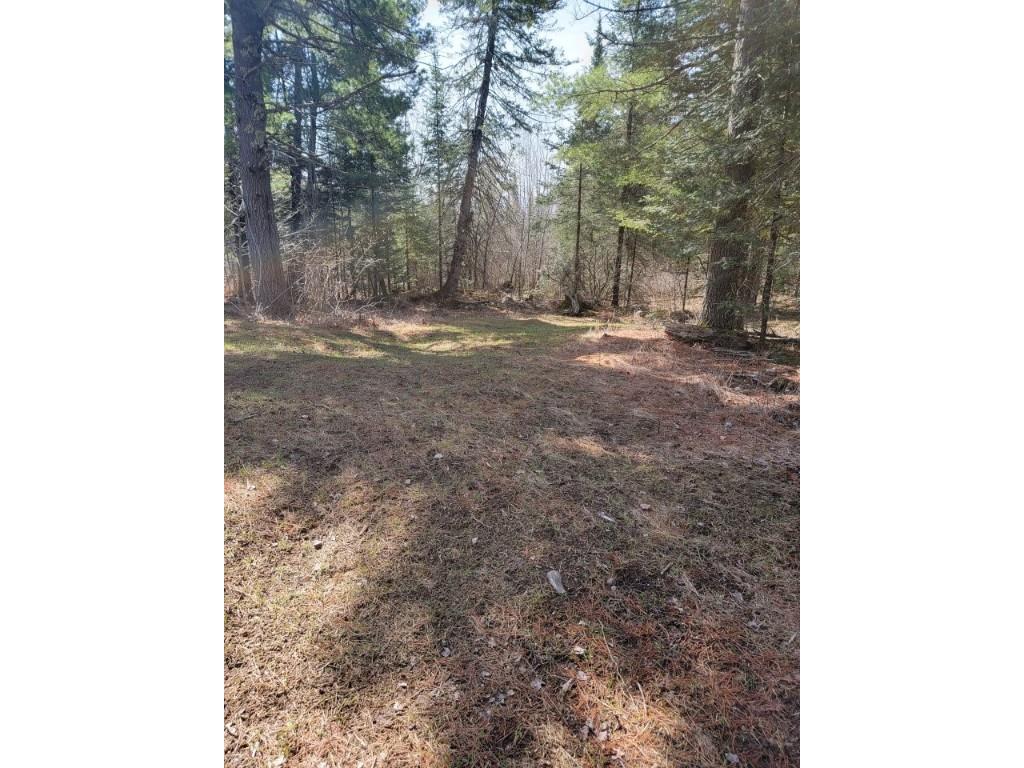 On Luds Lane Loretta WI 54896 - Fly Blow Creek 1589387 image9