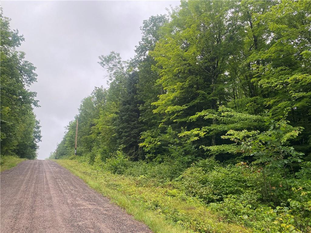 On N Uncle Tom's Road Loretta WI 54896 1584920 image1