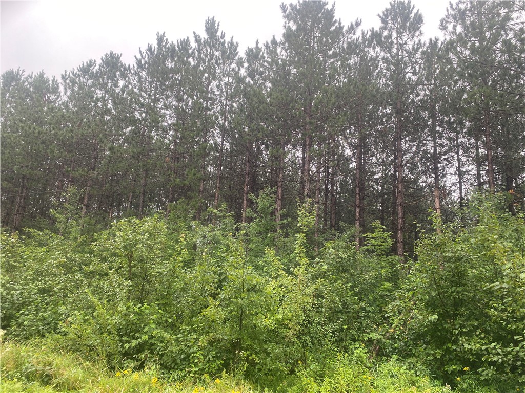 On Old 14 Road Bruce WI 54819 1584899 image3