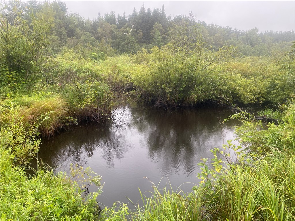 On Old 14 Road Bruce WI 54819 1584899 image4