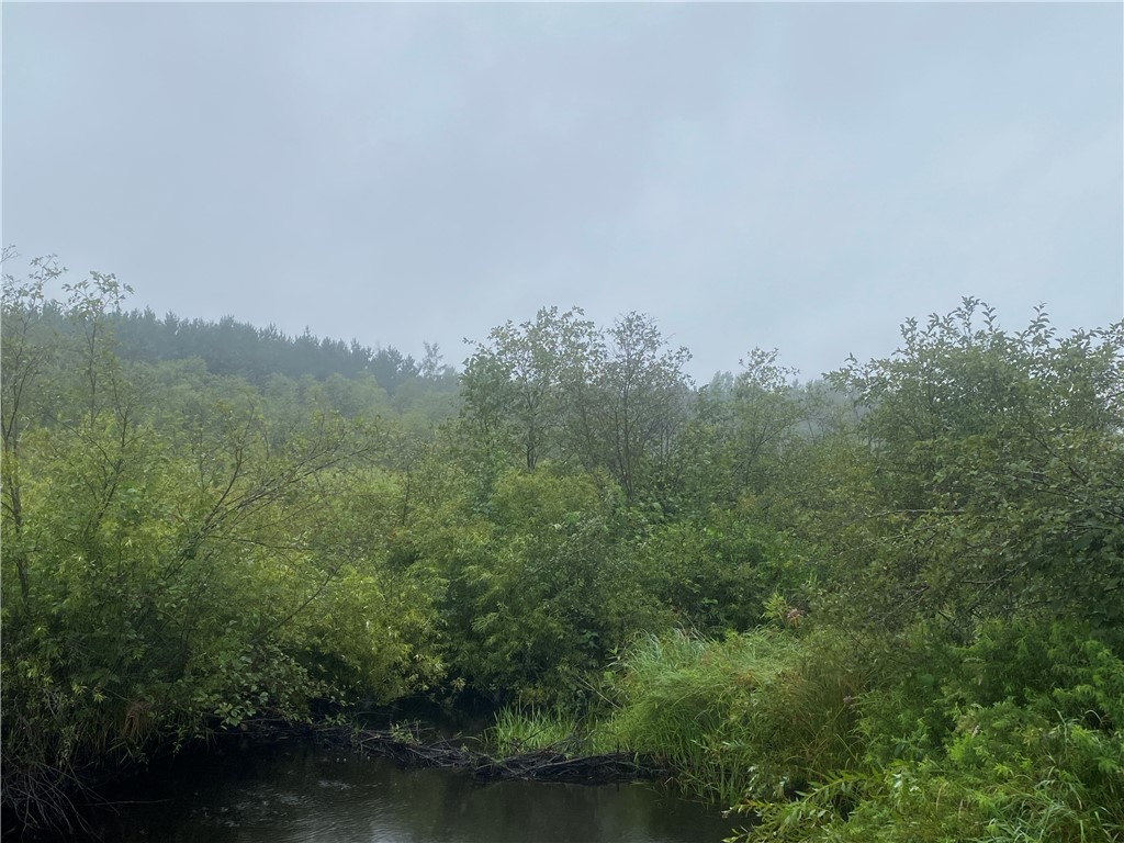 On Old 14 Road Bruce WI 54819 1584899 image5