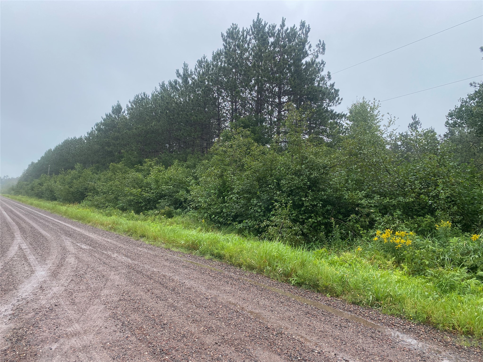 On Old 14 Road Bruce WI 54819 1599136 image1