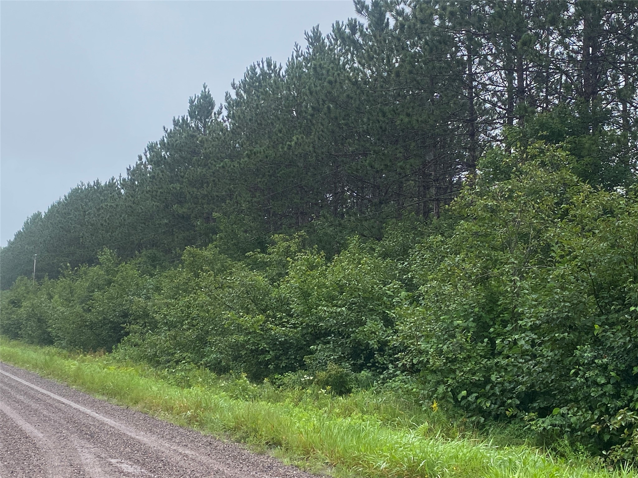 On Old 14 Road Bruce WI 54819 1599136 image2