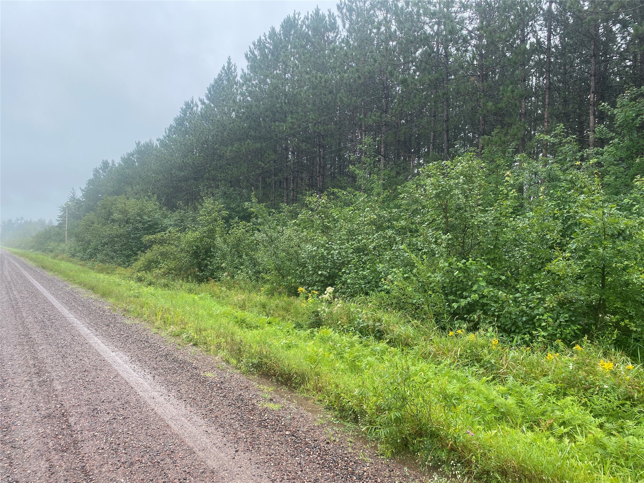 On Old 14 Road Bruce WI 54819 1599136 image4