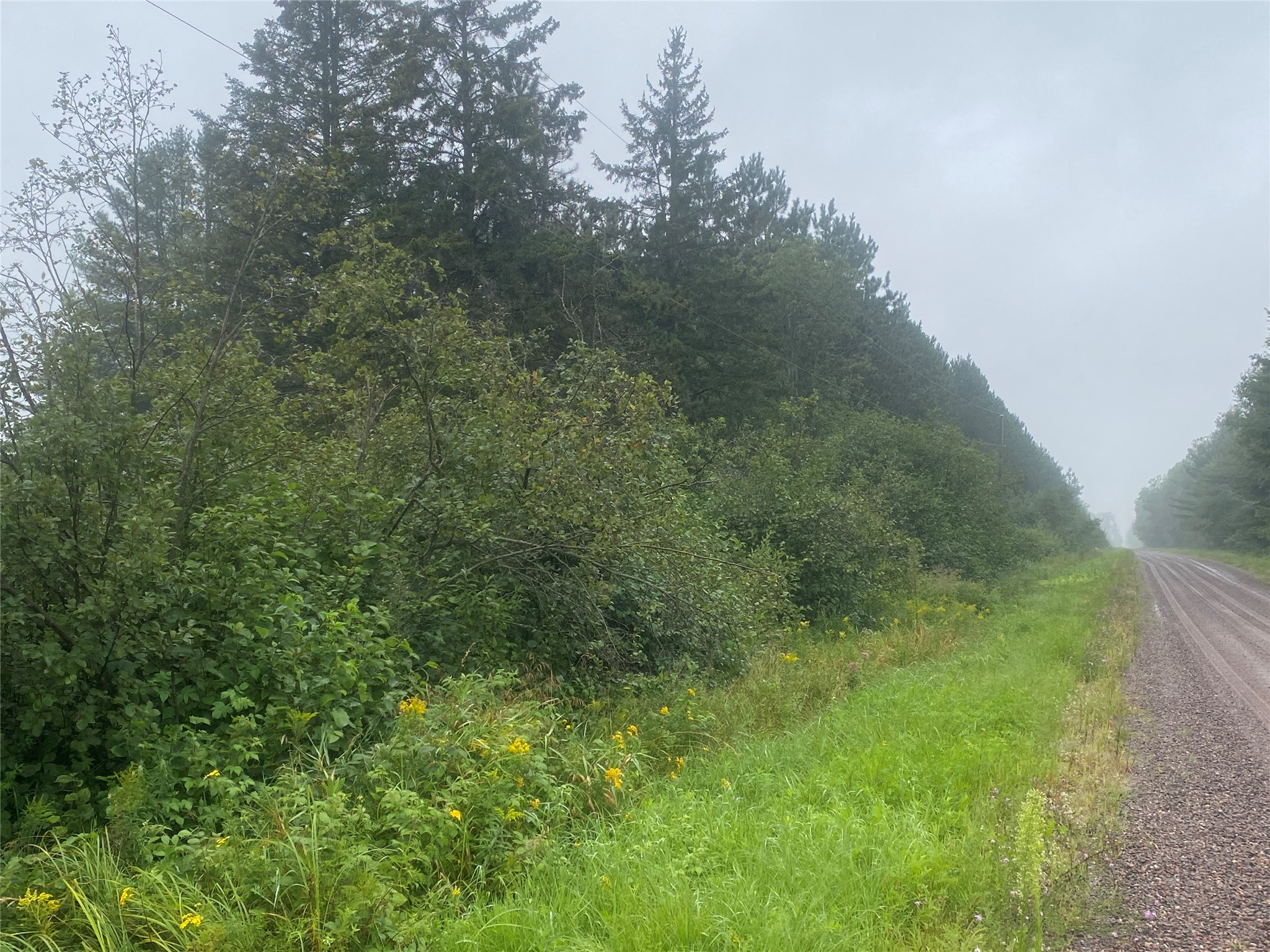 On Old 14 Road Bruce WI 54819 1599136 image8