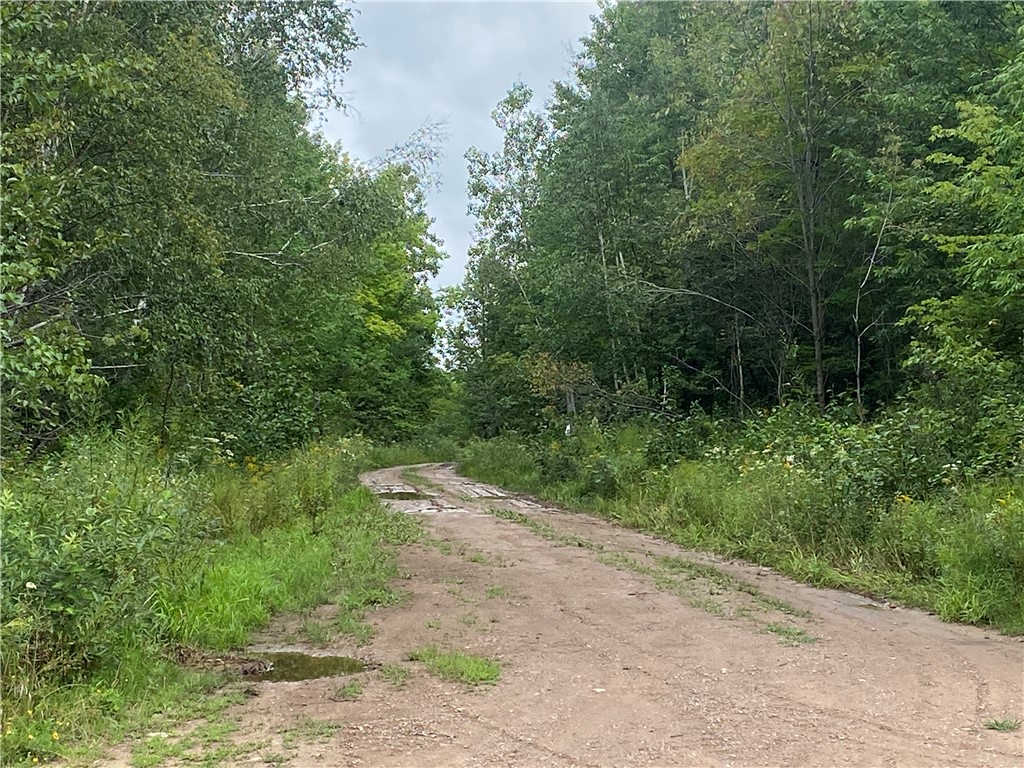 On Old Highway 70 Winter WI 54896 1584911 image4