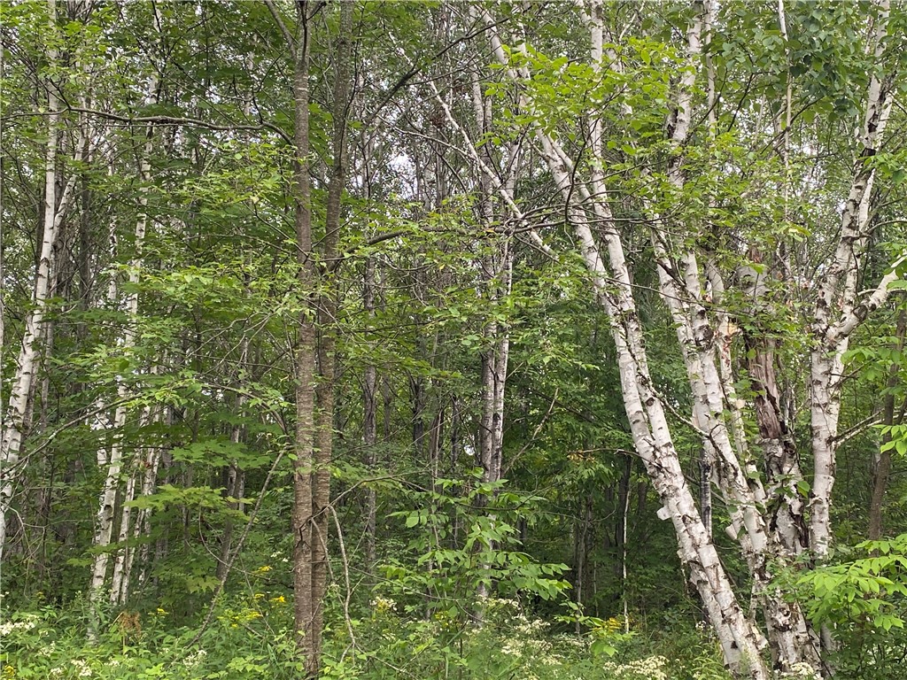 On Old Highway 70 Winter WI 54896 1584911 image5