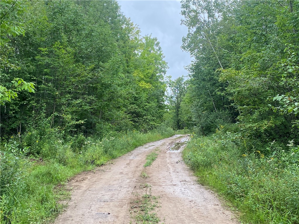 On Old Highway 70 Winter WI 54896 1584911 image6