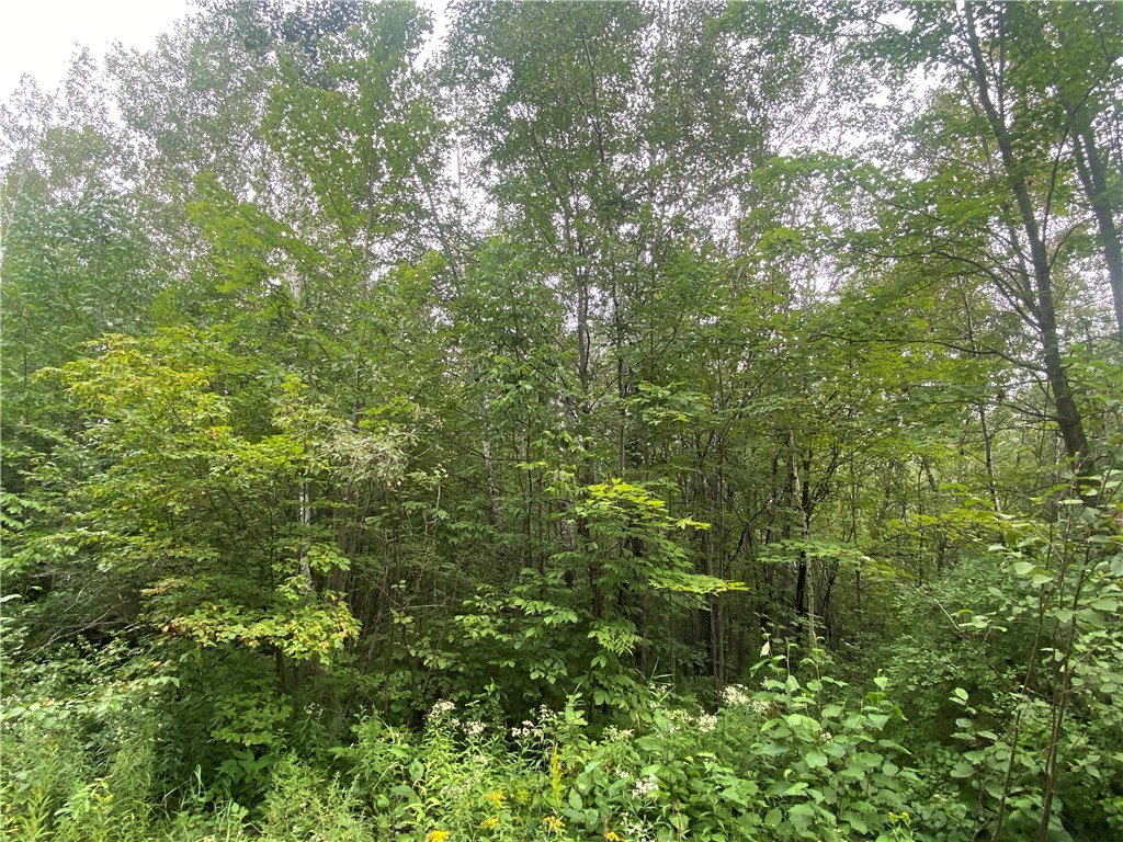 On Old Highway 70 Winter WI 54896 1584911 image7