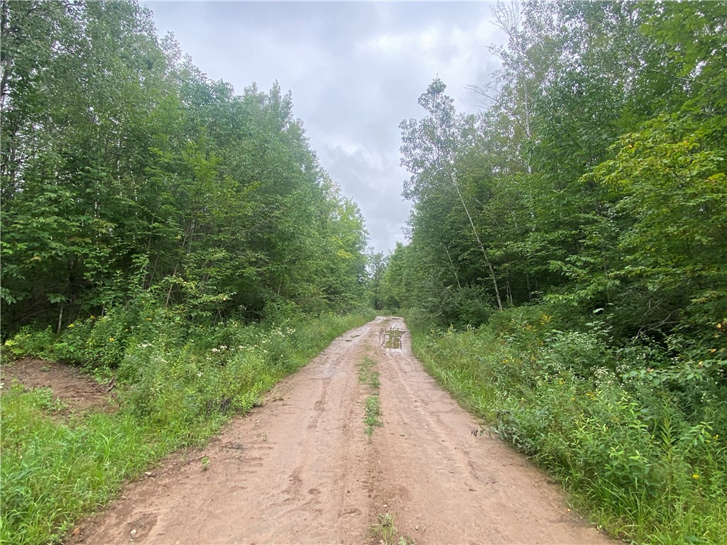 On Old Highway 70 Winter WI 54896 1584911 image8