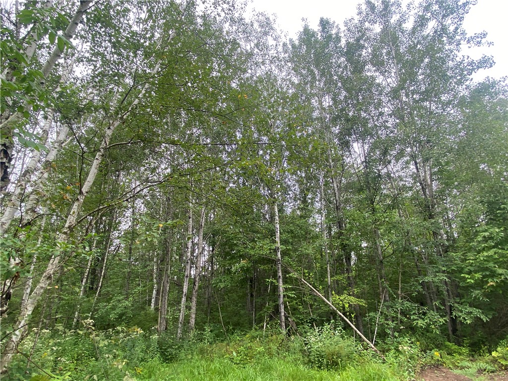 On Old Highway 70 Winter WI 54896 1584911 image9