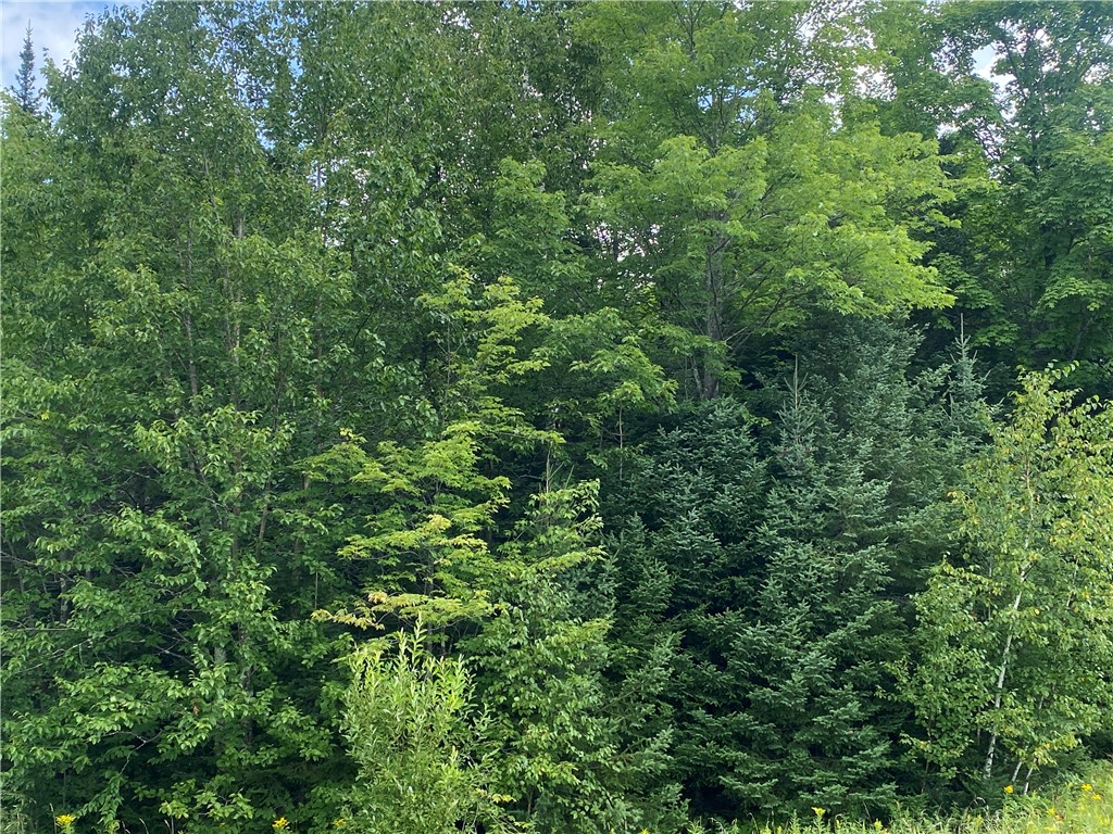 On Pixley Shores Road Fifield WI 54524 1584862 image3