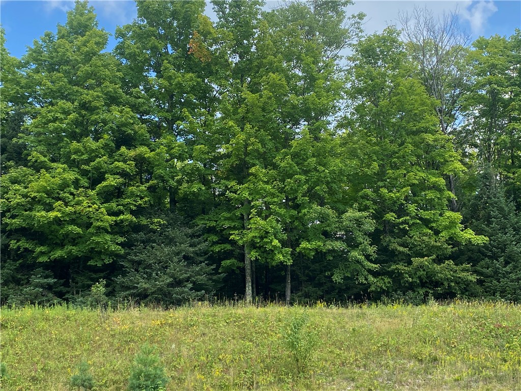 On Pixley Shores Road Fifield WI 54524 1584862 image7