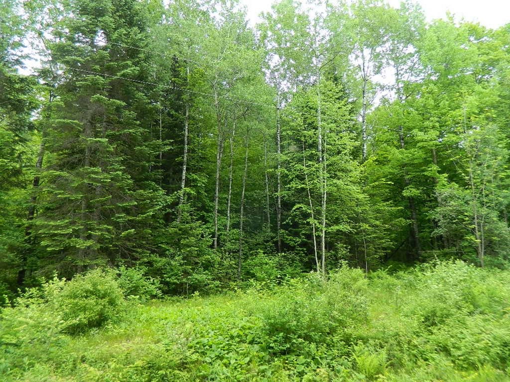 On Price Dam Road Winter WI 54896 1573277 image1