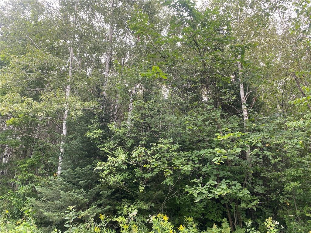 On Right Of Way Road Butternut WI 54514 1584853 image2