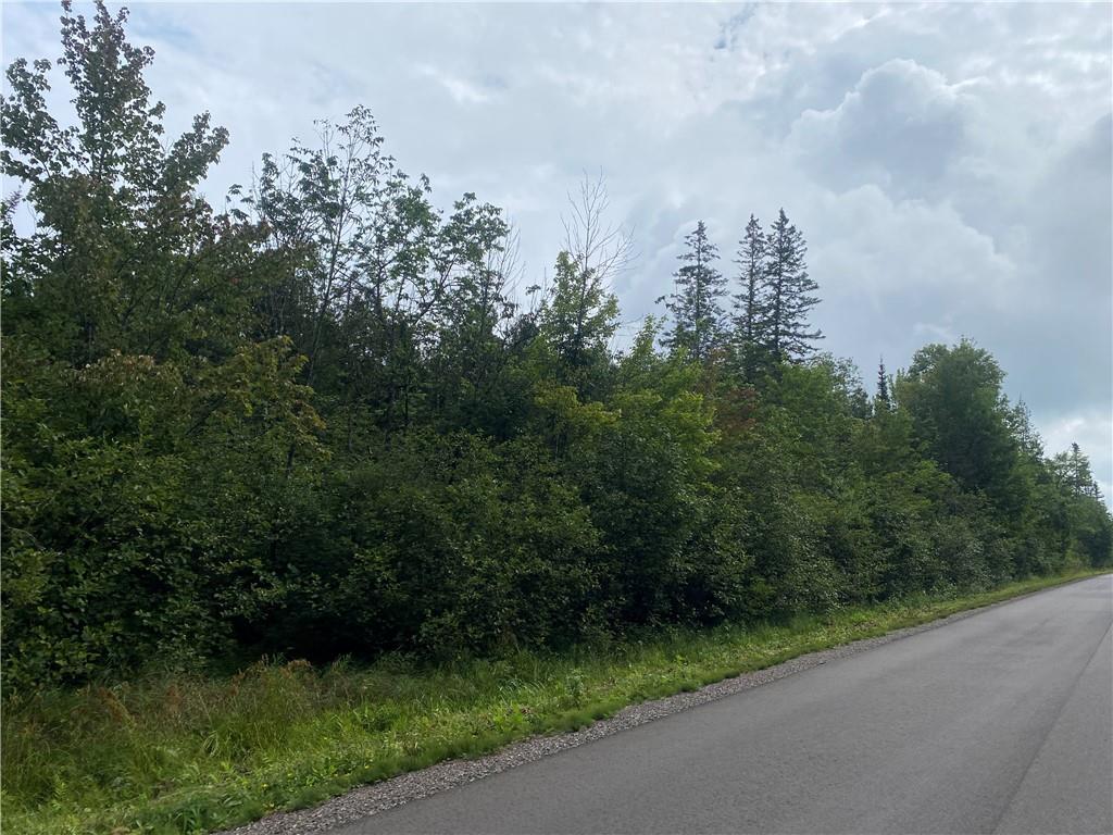 On Right Of Way Road Butternut WI 54514 1584853 image4
