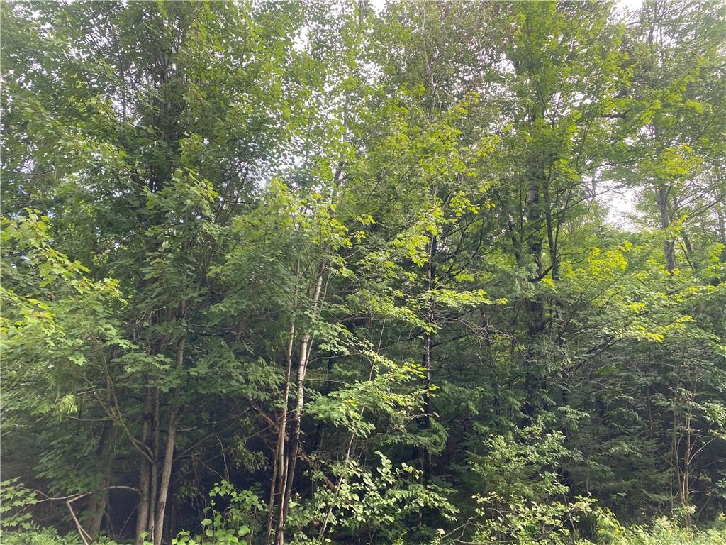 On Right Of Way Road Butternut WI 54514 1584853 image5