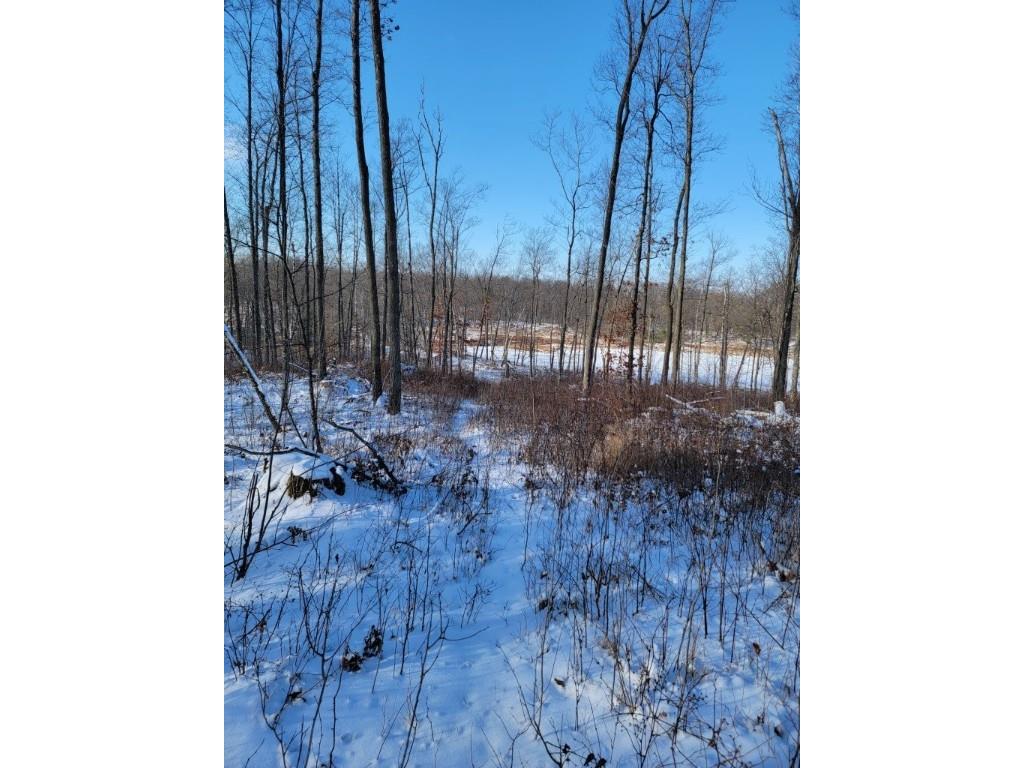 25 Acres Rollingwood Road Stone Lake WI 54876 1588044 image1