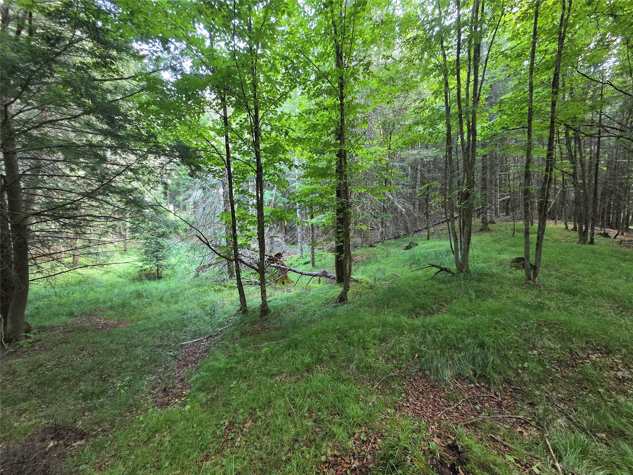 On S Aspen Road Phillips WI 54555 1602957 image4