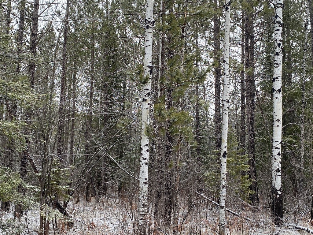 On Sorenson Road Port Wing WI 54865 1598119 image2