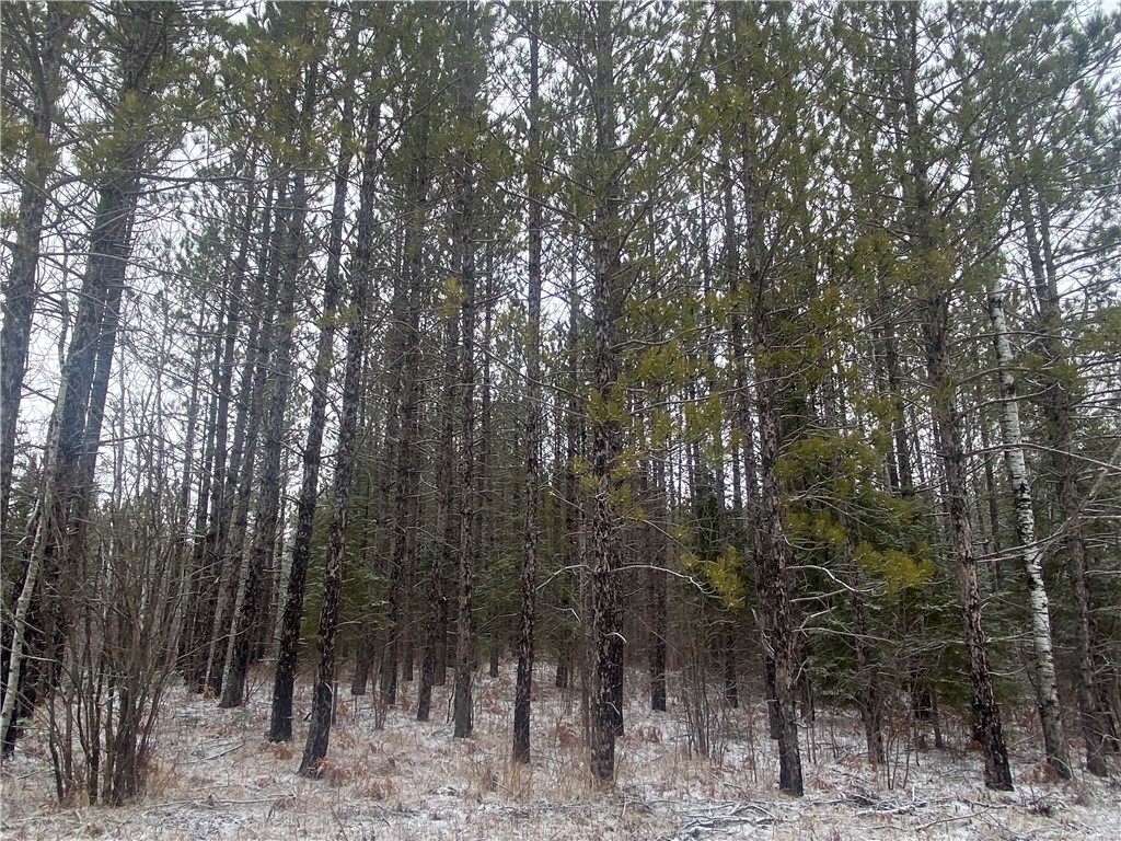 On Sorenson Road Port Wing WI 54865 1598119 image4