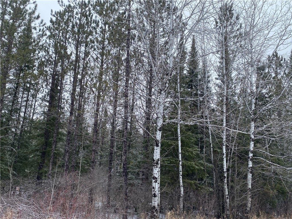 On Sorenson Road Port Wing WI 54865 1598120 image2