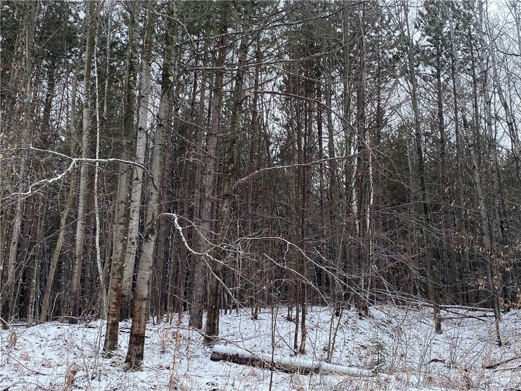 On Sorenson Road Port Wing WI 54865 1598121 image2