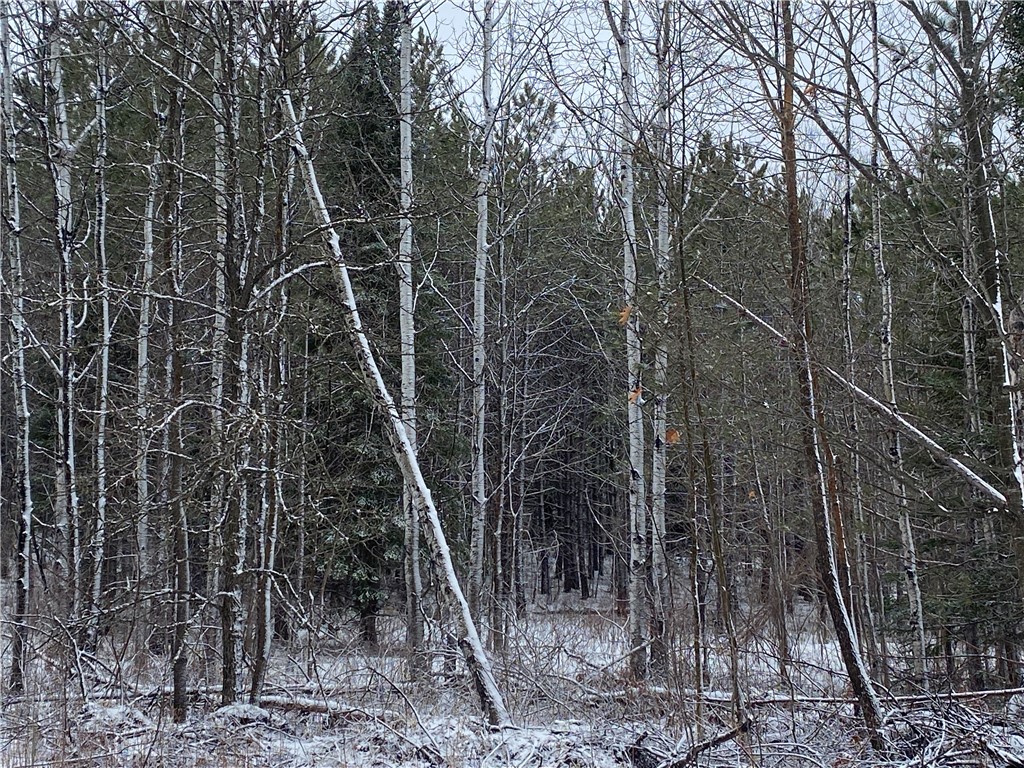 On Sorenson Road Port Wing WI 54865 1598122 image2